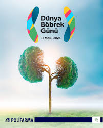 “Bizim Böbreklerimiz, Bizim Gezegenimiz: Sağlıklı Çevre ile Sağlıklı Böbrekler”