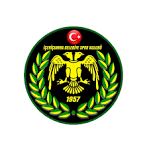 İÇERİÇUMRA DOLU DİZGİN
